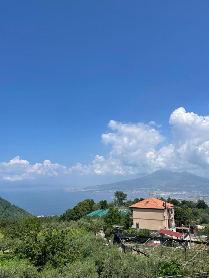 Villa Marilu بيمونت المظهر الخارجي الصورة